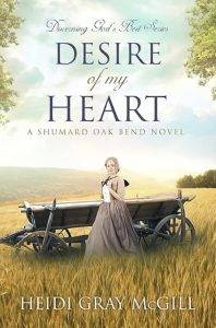 Desire of My Heart by Heidi Gray McGill — AI Book MRI Review