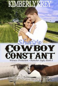 Shay’s Cowboy Constant by Kimberly Krey — AI Book MRI Review