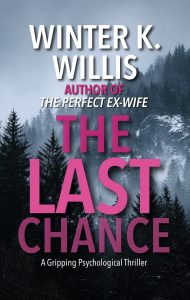 The Last Chance by Winter K/ Willis — AI Book MRI Review