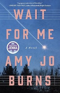 Wait for Me by Amy Jo Burns — AI Book MRI Review