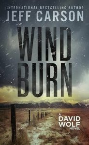 Wind Burn by Jeff Carson — AI Book MRI Review