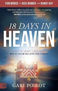 18 Days in Heaven by Gabe Poirot — AI Book MRI Review