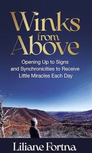 Winks from Above by Liliane Fortna — AI Book MRI Review